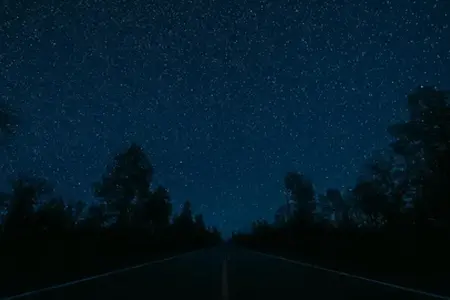 Romania will surpass the psychological threshold of 1,200 km of highways in 2024. What are the promises for 2025?