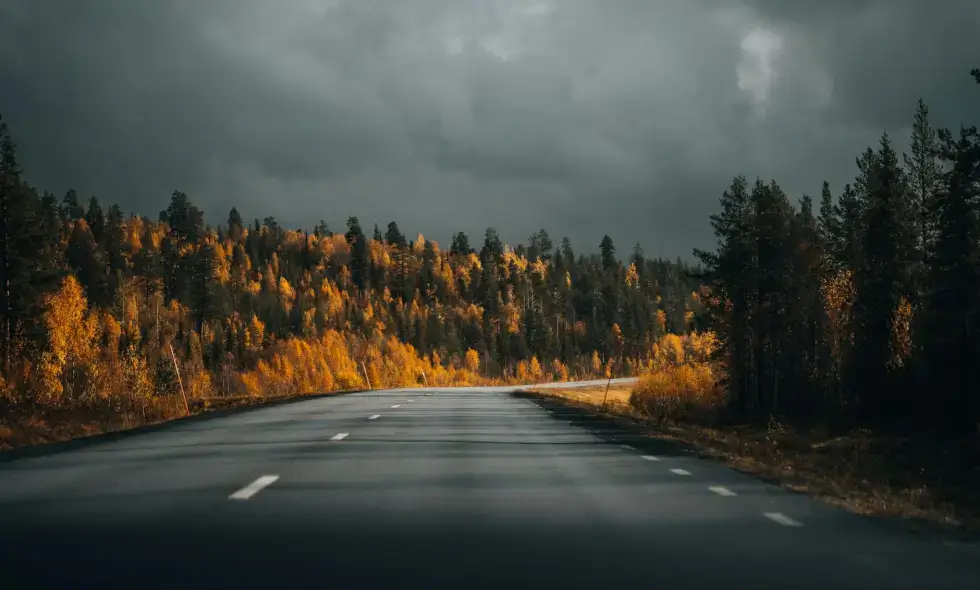 Too Many Lanes for the New Roads in Northern Slovakia? Experts Warn About the D3 Highway